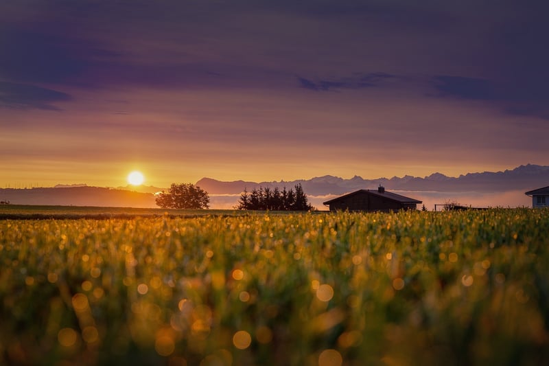 Cabin in the Woods at Sunset